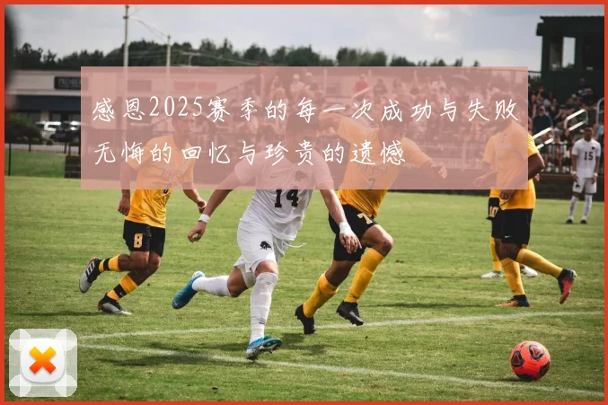 感恩2025赛季的每一次成功与失败无悔的回忆与珍贵的遗憾