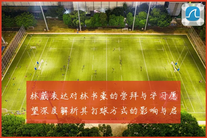 林葳表达对林书豪的崇拜与学习愿望深度解析其打球方式的影响与启发