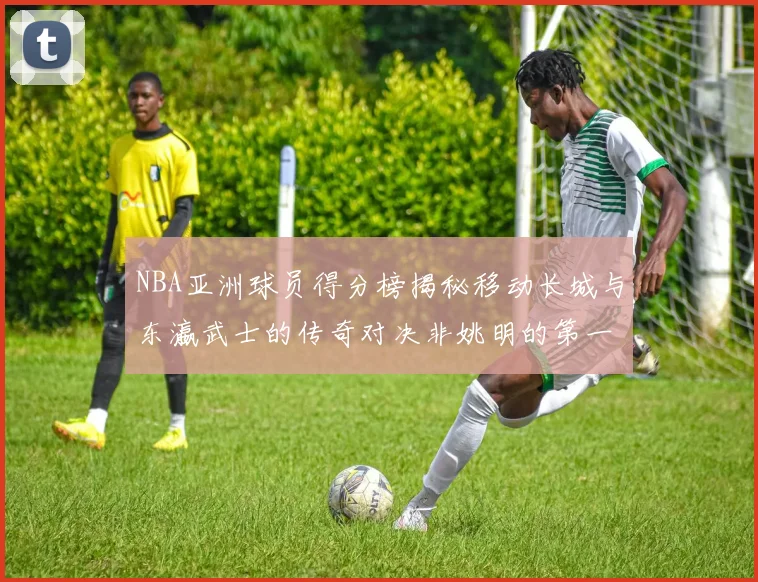NBA亚洲球员得分榜揭秘移动长城与东瀛武士的传奇对决非姚明的第一人是谁