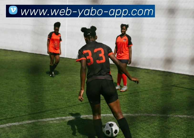 多媒体互动体验